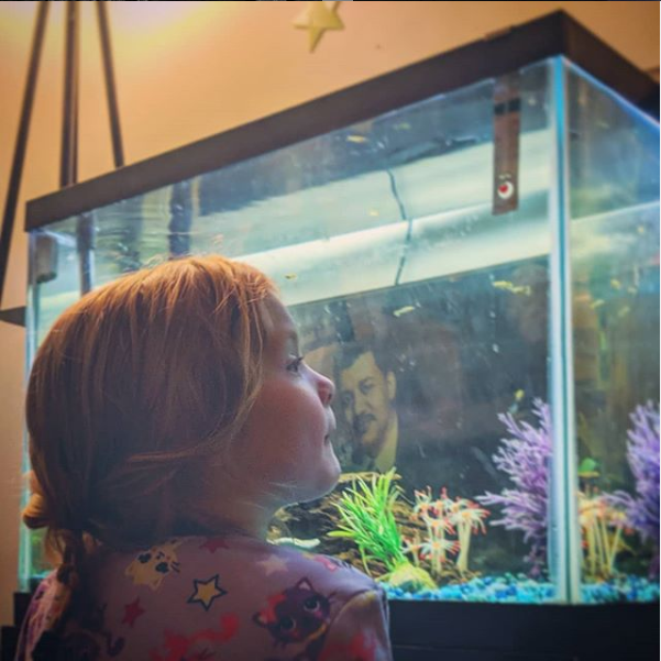 Gazing into the fish tank