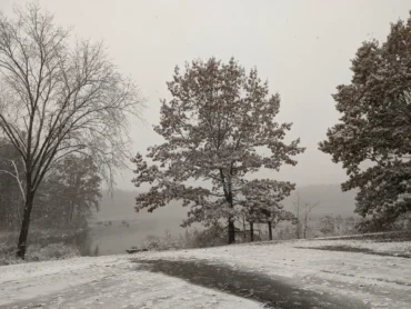 An image of a still pond, with trees all around the edges, beneath an overcast sky. There is a thin layer of snow on top of everything. It's the perfect weather for a winter reset.